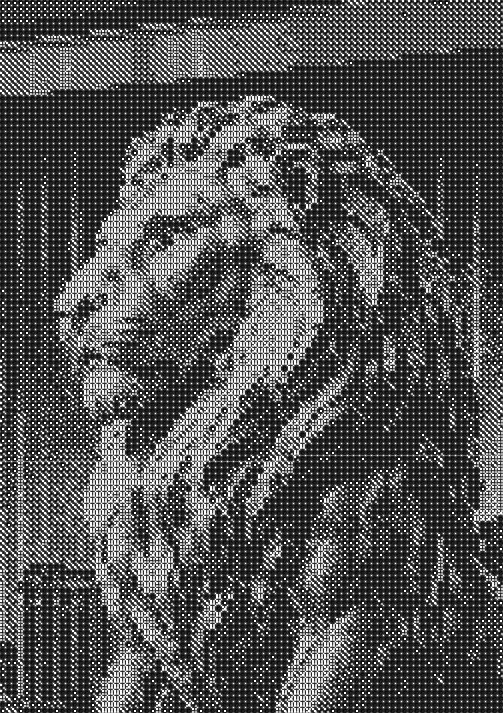 MGM